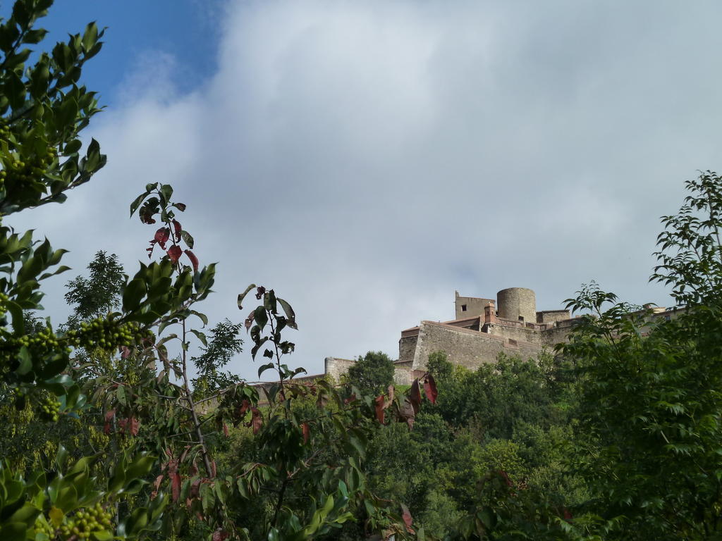 Maison Baxter Prats-de-Mollo-la-Preste Habitación foto